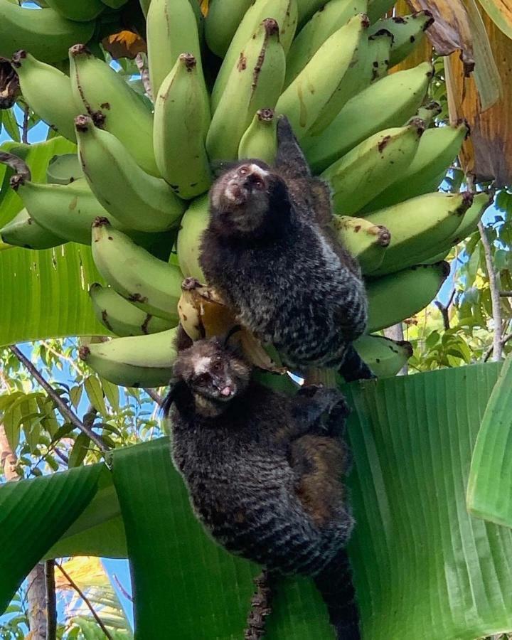 Pousada Sitio Da Bia Marau Kültér fotó